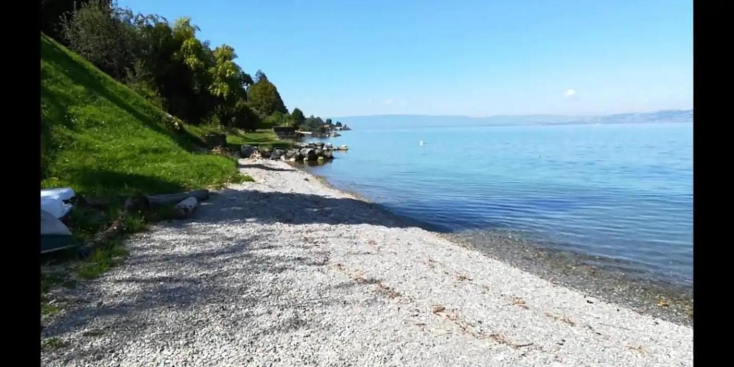 Chez Malou & Hugo Vue Lac Proche Suisse & Stations ! 圣金戈尔夫 外观 照片
